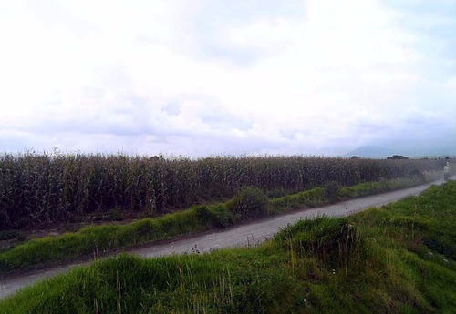Imagen 11 de 12 de Vendo Terreno De 9 Has Cerca De Metepec