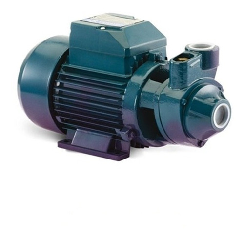 Imagen 1 de 2 de Bomba Periferica 3/4hp Elevacion 42mts Pluvius Qb70