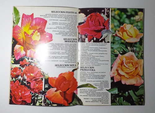 Revista Plantas De Rio Negro. Año 1985 #e2 (Usado)