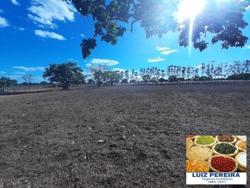 Fazenda À Venda Em Dueré/vale Do Araguaia -to - (dupla Aptidão) - 1537