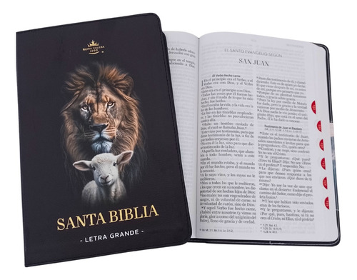 Biblia Reina Valera 1960 Letra Grande Cordero/león - Índice