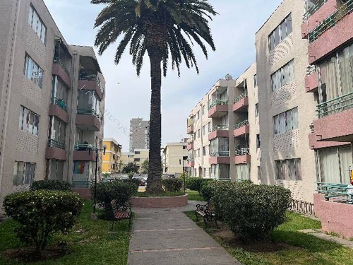 3 Dormitorios - 1baño + Estacionamiento (72525)