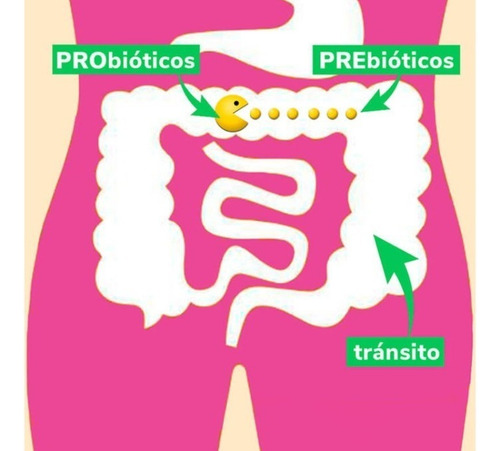 Inulina Orgánica En Polvo Certificada Now 227 Gr Prebiótico