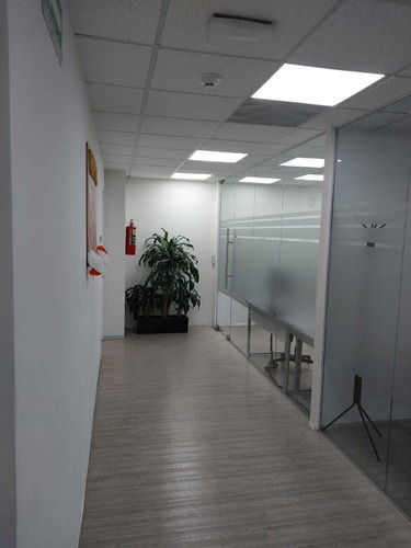 Oficina Plug And Play Con Terraza En Polanco