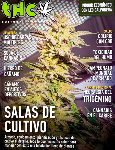 Revista Thc N° 155 - Junio 2022