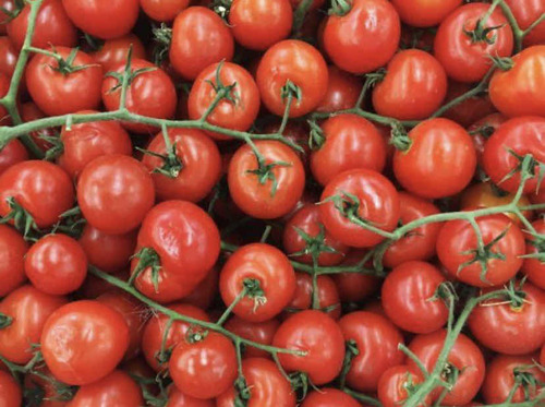 Semillas De Tomate Cherry 5gr