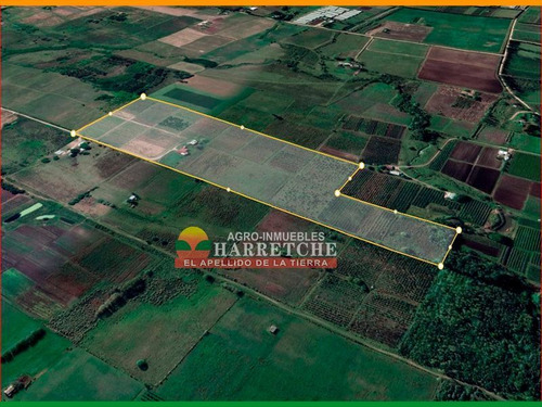 Chacra 14 Has En Venta De 2 Dormitorios En Progreso