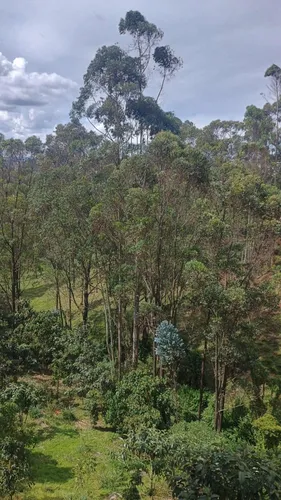 Apartamento En Arriendo En Condominio Planté, En La Vía Rionegro, Marinilla