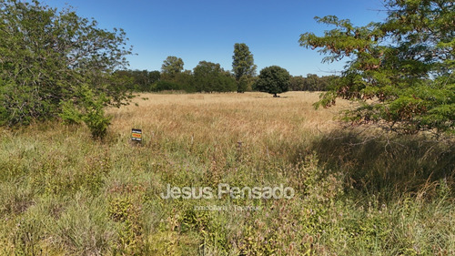En Venta Terrenos En Zona Termas A 70 Mts Ruta 51
