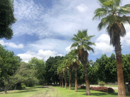 Imagen 4 de 14 de Venta De Terrenos En Ticuman Morelos