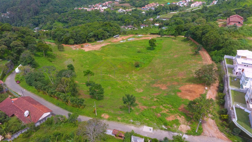 Imagem 10 de 15 de Lotes Exclusivos No Cônego - Lote 01 - 245