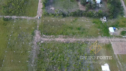 Imagen 22 de 29 de Lotes En Quillinzo