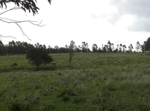 Quinta En Venta En Manantiales