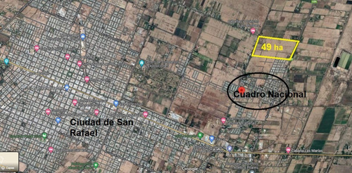 Bodega Boutique Y Finca En San Rafael. Terreno Apto Para Loteo De 650 Lotes De 400 M2 C/u. Alquiler De Tierra Para Pasto O Ajo. Oportunidad Para Invertir En San Rafael, Mendoza.