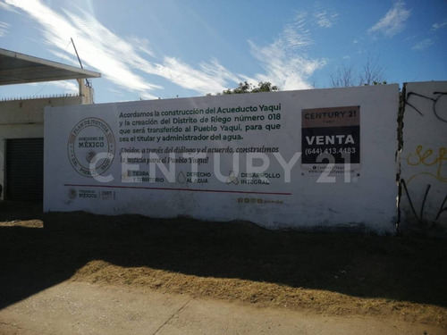 Imagen 3 de 17 de Se Renta Terreno Comercial En Providencia.