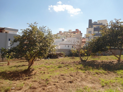 Imagem 3 de 4 de Lote Para Comprar No Paquetá Em Belo Horizonte/mg - 13656