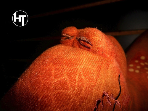 Imagen 3 de 10 de Disney, Pixar, Dinosaur, El Viaje De Arlo, Butch, Peluche