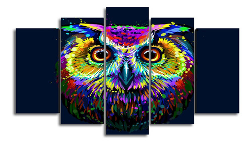 Cuadro Decorativo Animales Buho Colors Art Abstracto Mx726