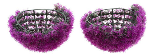 Planta De De De Topiario De Eucalitto Violeta 27cm