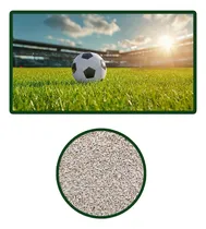 Comprar Semillas De Bermuda Gobi Ibiza Rf 1kg \u002F De Alta Durabilidad
