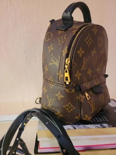 Mochila louis vuitton mercadolibre best sale