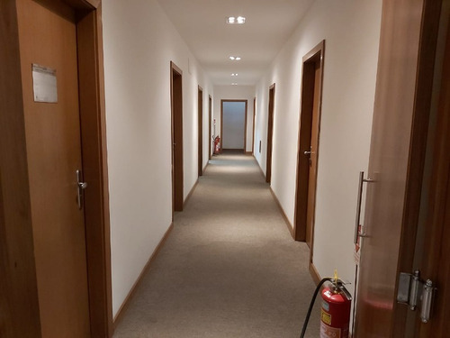 Imagem 9 de 25 de Aluguel Sala No Centro - Sa00003 - 68781887