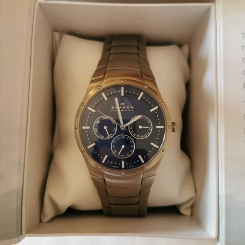 Reloj skagen titanium hot sale