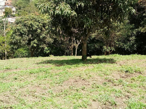 Imagem 15 de 24 de Casa À Venda, 2 Quartos, 8 Vagas, Batistini - São Bernardo Do Campo/sp - 47785