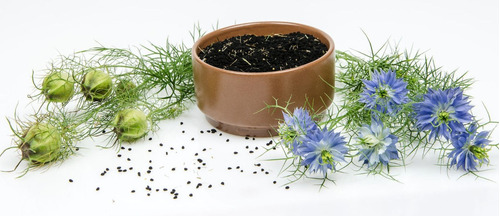 50 Sementes De Cominho Preto Nigella Sativa Erva Flor