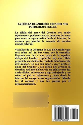 Programa de rejuvenecimiento Belleza, salud, perdida de pes, de Grabovoi, Grigori. Editorial Independently Published en español, 2019