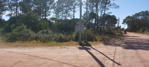 Imagen 1 de 28 de Vendo 1 O 2 Lotes De 584 M2 En Punta Del Diablo