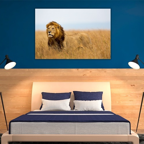 Cuadro Decorativo Animales Canvas Leon Poderoso Felino