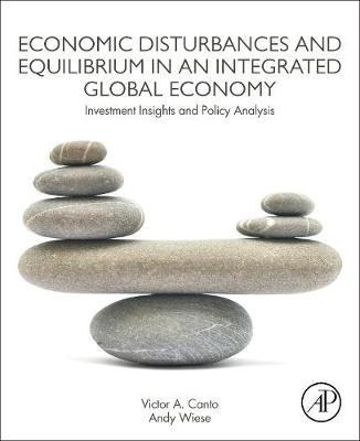 Libro Economic Disturbances And Equilibrium In An Integra...