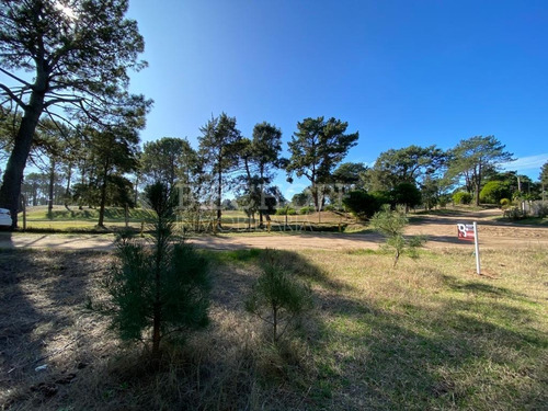 Imagen 5 de 16 de Hermoso Terreno, Zona Golf. Villa Gesell