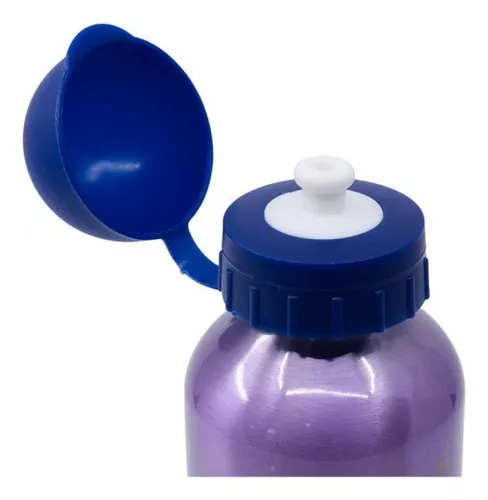 Botella de agua reutilizable de aluminio infantil de 600 ml de Frozen :  : Oficina y papelería