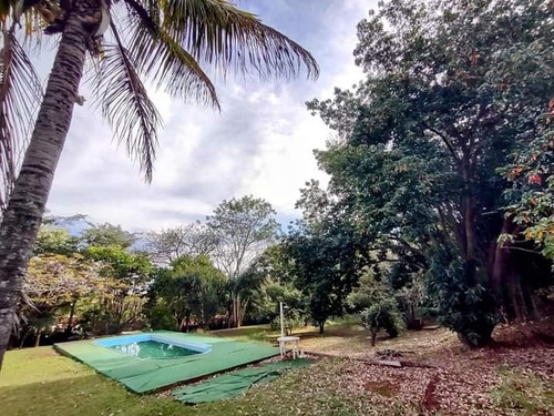Imagem 4 de 25 de Chácara 3000m2, Casa Sede Com 3 Dormitórios Sendo 1 Suíte, Piso Em Porcelanato, Piscina, Quarto De Ferramentas - Ch00174 - 70327373
