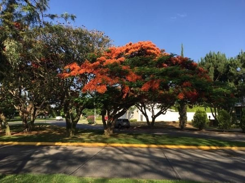 Imagen 7 de 16 de Terreno En Venta Coto Siena En Valle Real Zapopan En Paseo San Arturo
