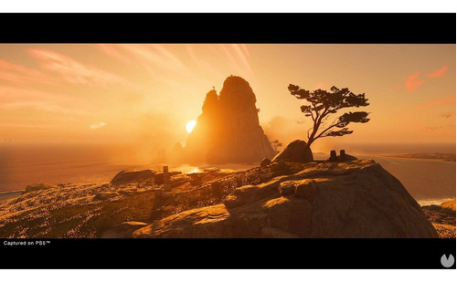 Imagen 4 de 8 de Ghost Of Tsushima Directors Cut Formato Físico Ps4 Original