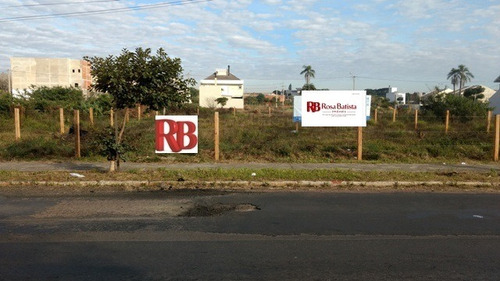 Imagem 4 de 6 de Terreno Localizado(a) No Bairro Estância Velha Em Canoas / Canoas - T116
