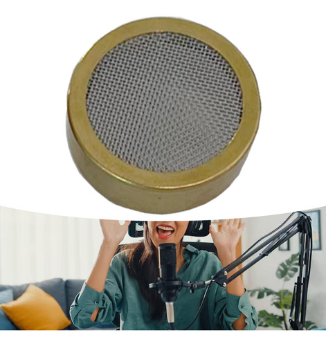 Micrófono Core Protection Net Fácil De Instalar De Sonido