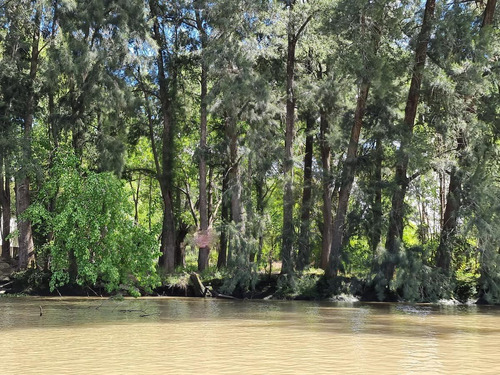 60 Hectáreas - Puerto De Escobar - Sobre Parana De Las Palmas