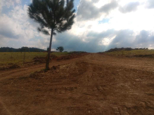 Imagem 2 de 14 de 3-terrenos Em Santa Isabel !