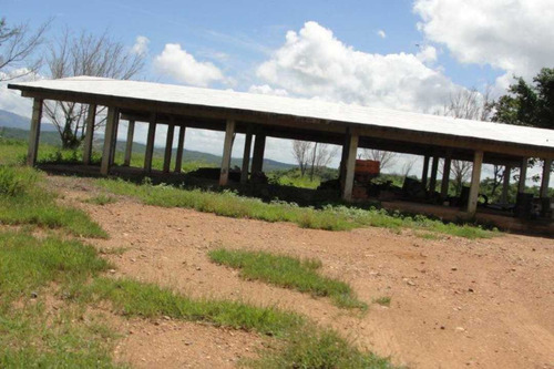 Imagen 23 de 25 de Finca De 400 Has En Sabana Grande De Orituco
