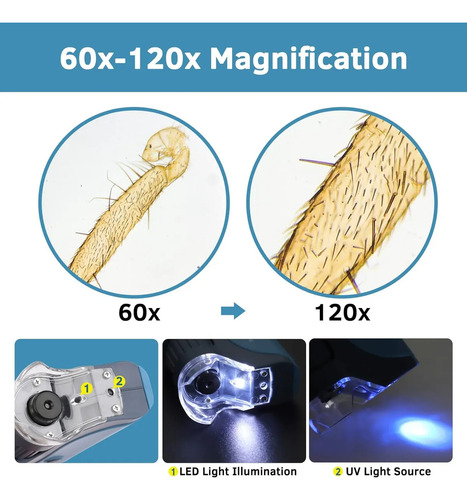 Microscopio Infantil Portátil 60x-120x Led Monocular