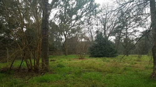 Imagen 3 de 3 de Mendoza Al 2400 Benavidez Lote A La Venta