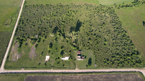 Imagen 19 de 20 de Campo - Colón