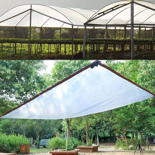 Lona Transparente De 3x3m Impermeables Con Cuerda De 10m