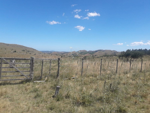 Imagen 2 de 14 de Campo Cerca De La Ruta 12 Y Ruta 60 - Minas