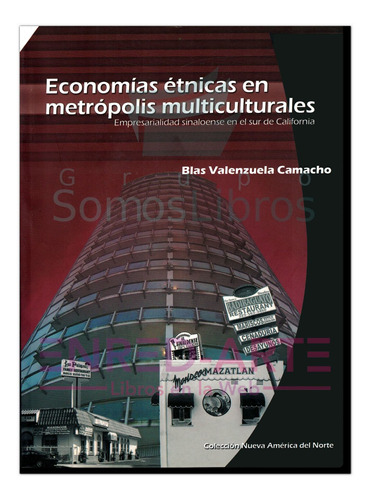 Economías Étnicas En Metrópolis Multiculturales, Empresarial