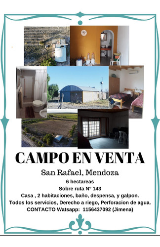 Campo En Venta San Rafael Mendoza.